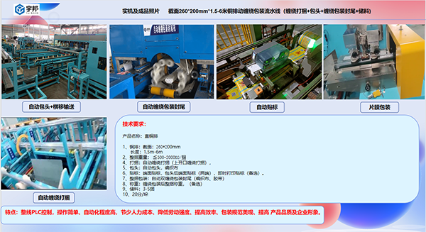 铜排自动缠绕包装码垛流水线(图2)